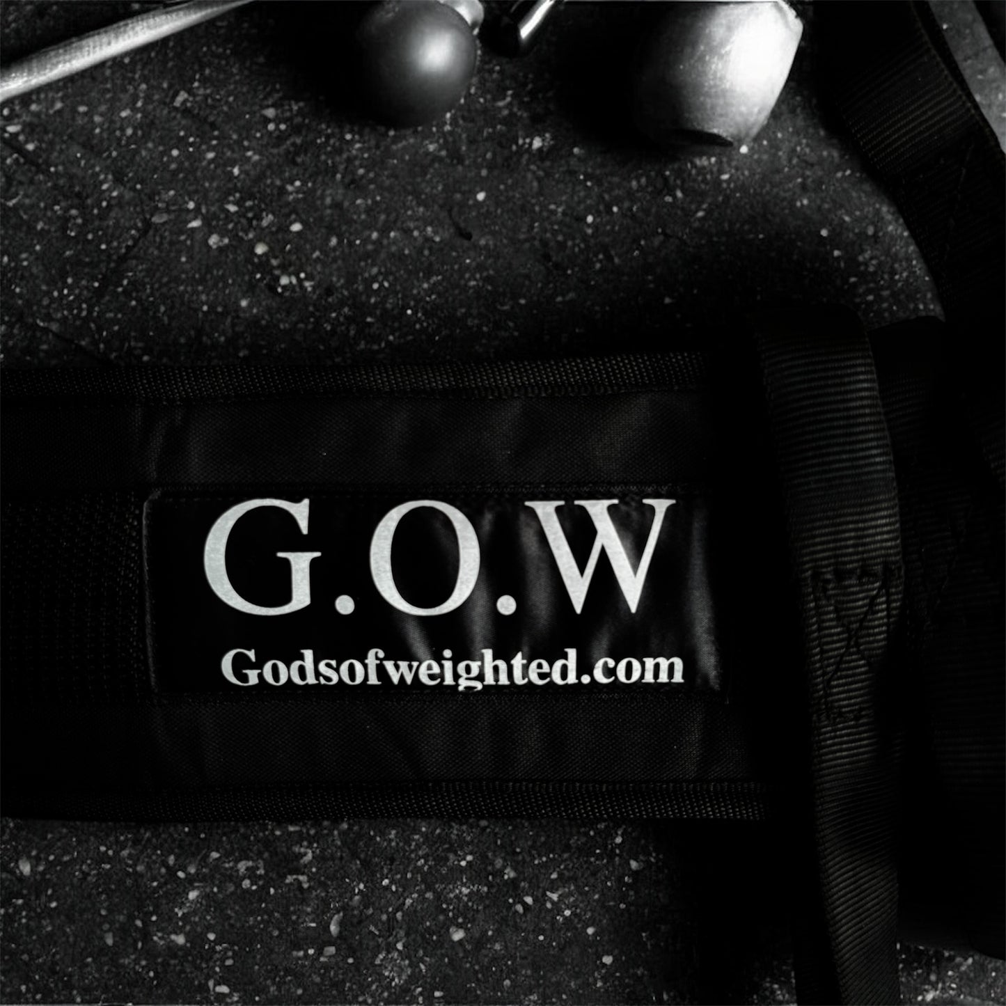 Weighted Dip Belt + Daisy Chain + 3 Heavy Carabiners |Streetlifting & Calisthenics Combo Gear