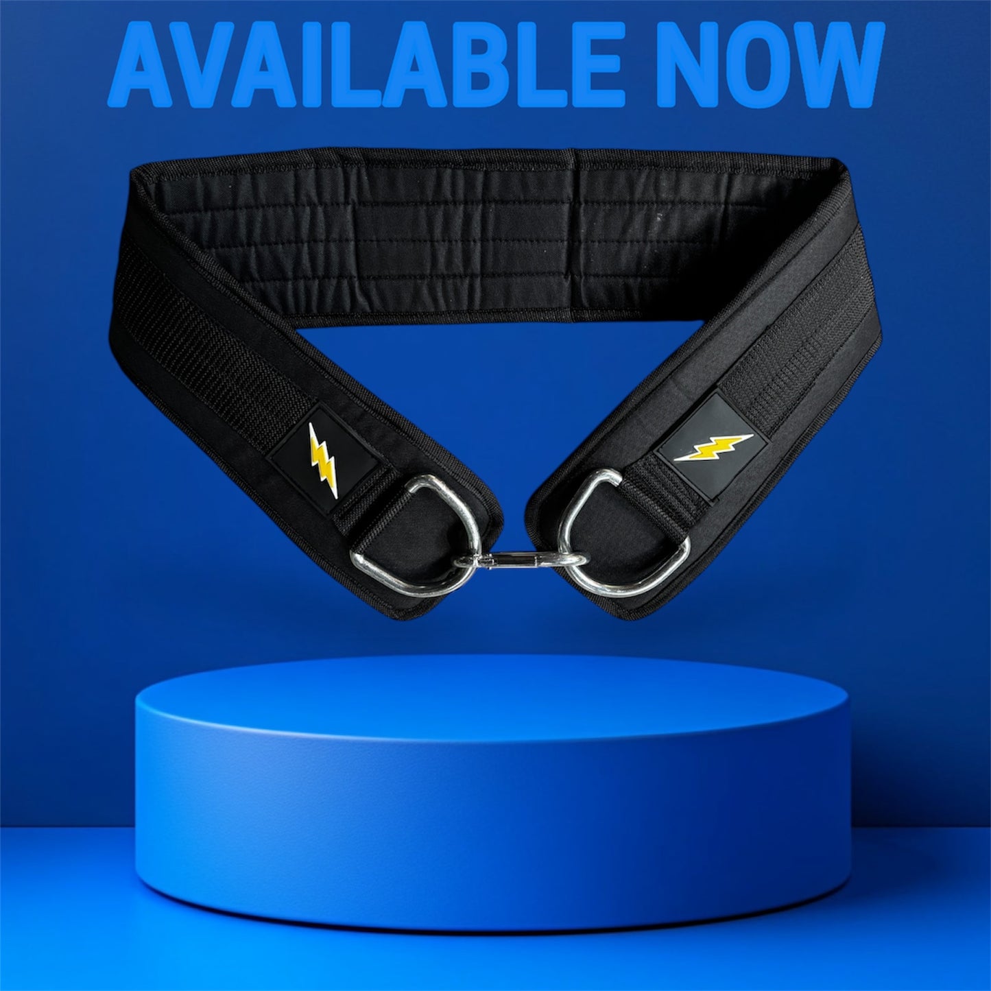 Weighted Dip Belt + Daisy Chain + 3 Heavy Carabiners |Streetlifting & Calisthenics Combo Gear