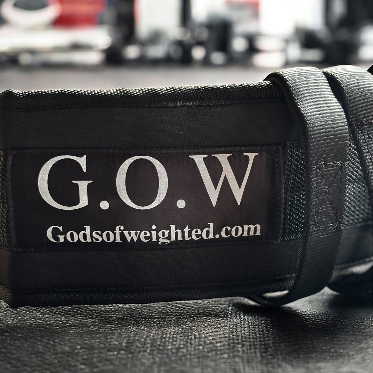 Weighted Dip Belt + Daisy Chain + 3 Heavy Carabiners |Streetlifting & Calisthenics Combo Gear